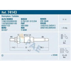 Candeletta  Beru Landrover Rangerover 2,4 TDS